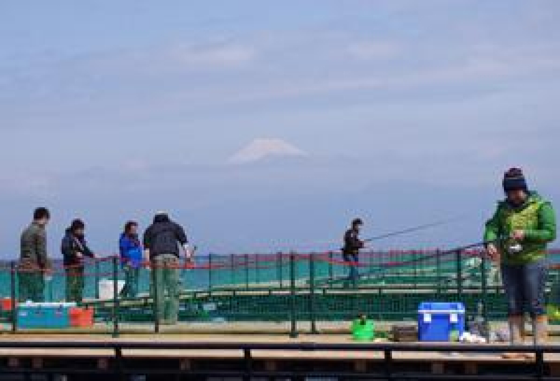 富士が見える沼津の釣りレジャー