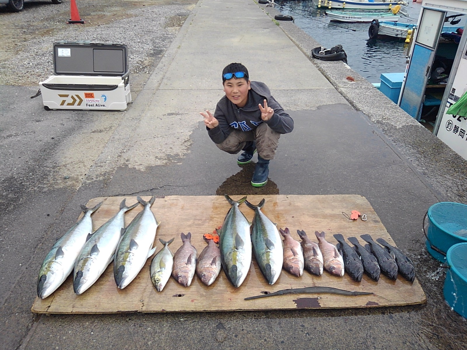 本日の釣果