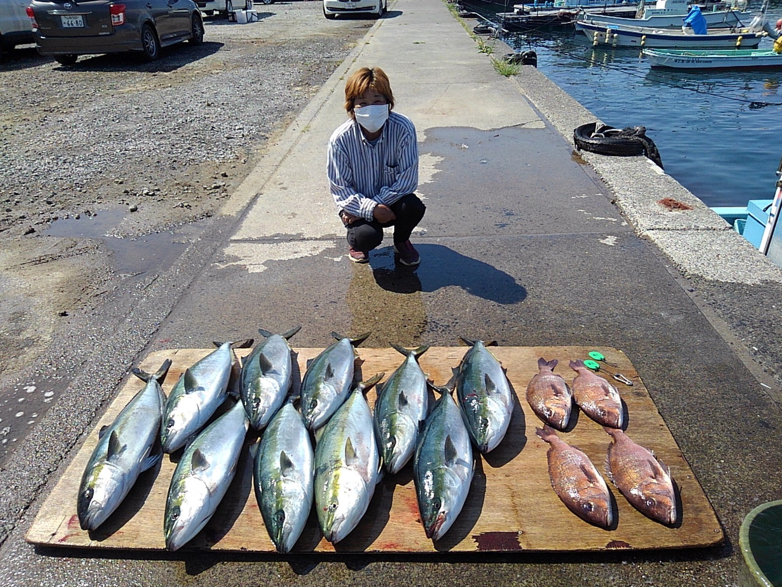 本日の釣果