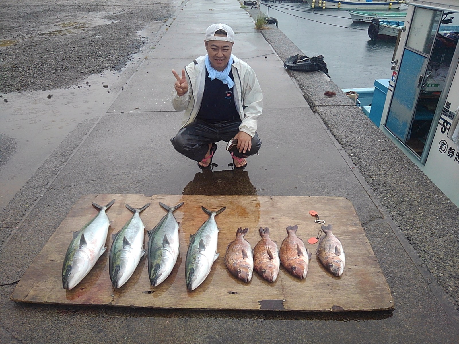 本日の釣果