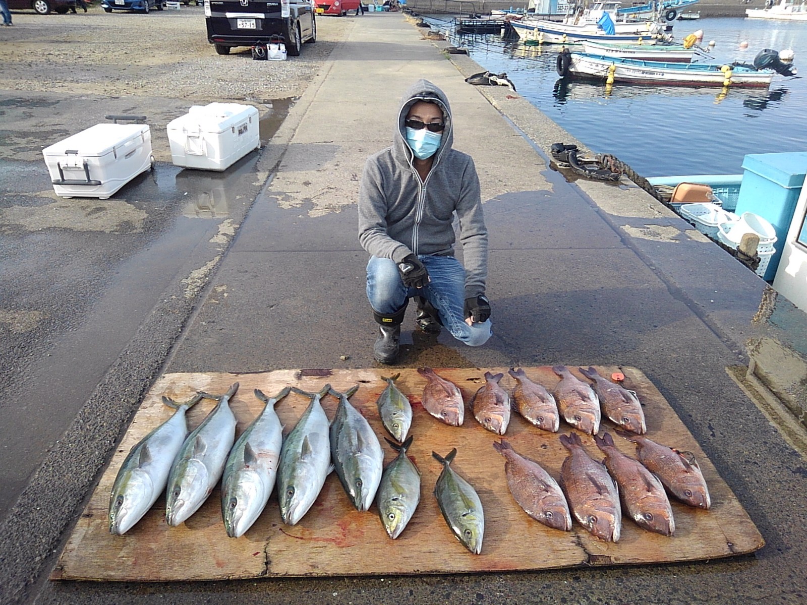 本日の釣果