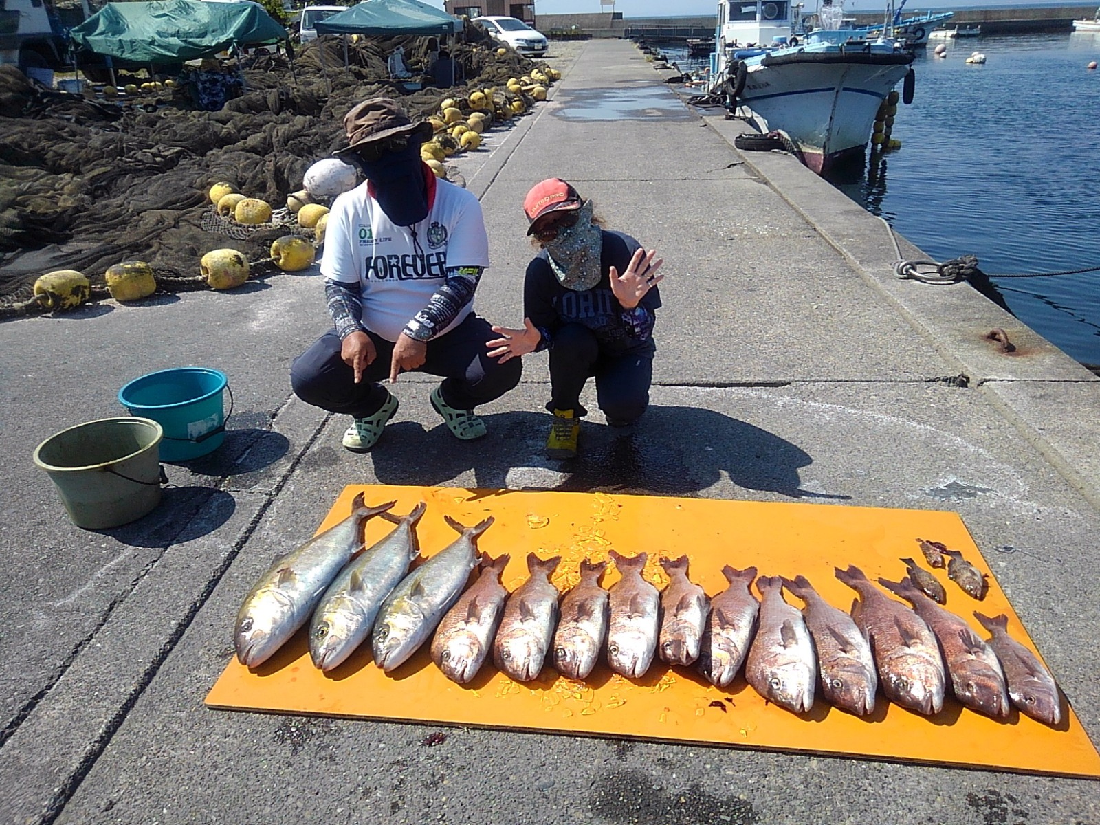 本日の釣果