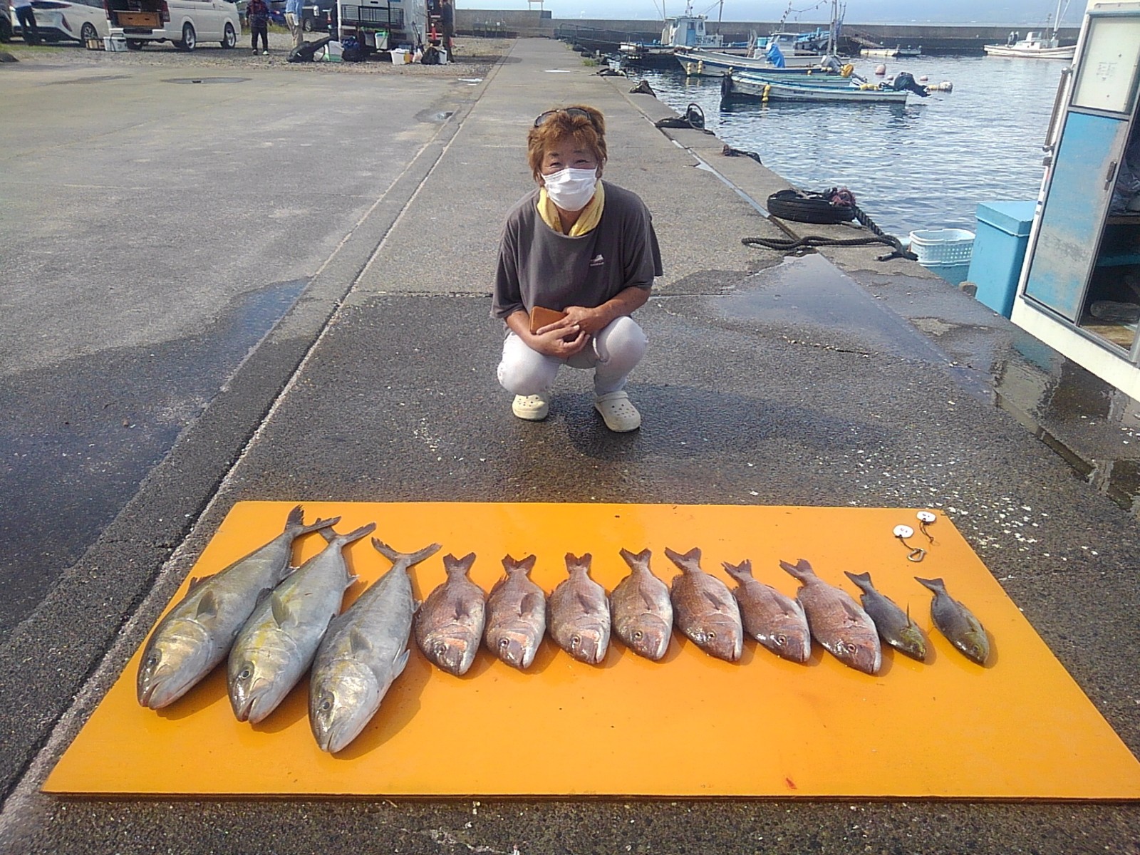 本日の釣果