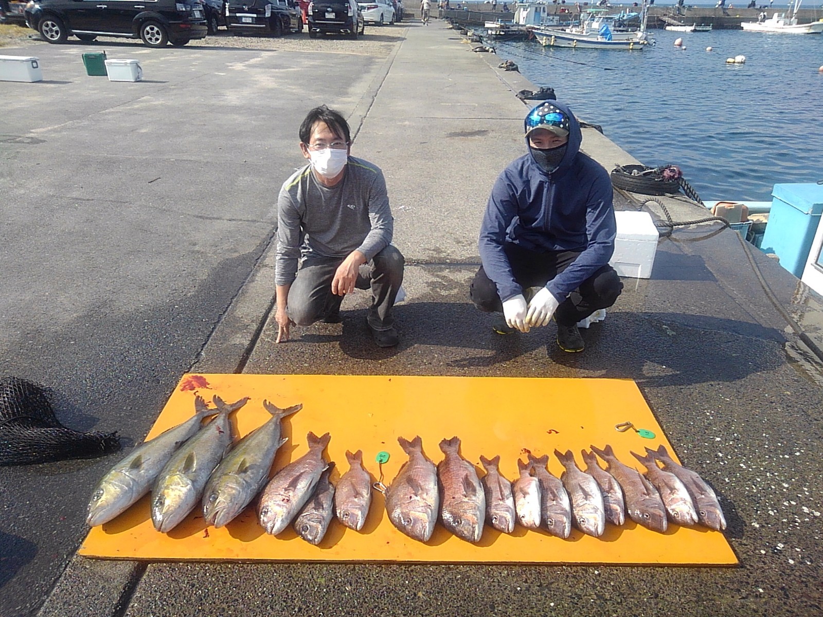 本日の釣果
