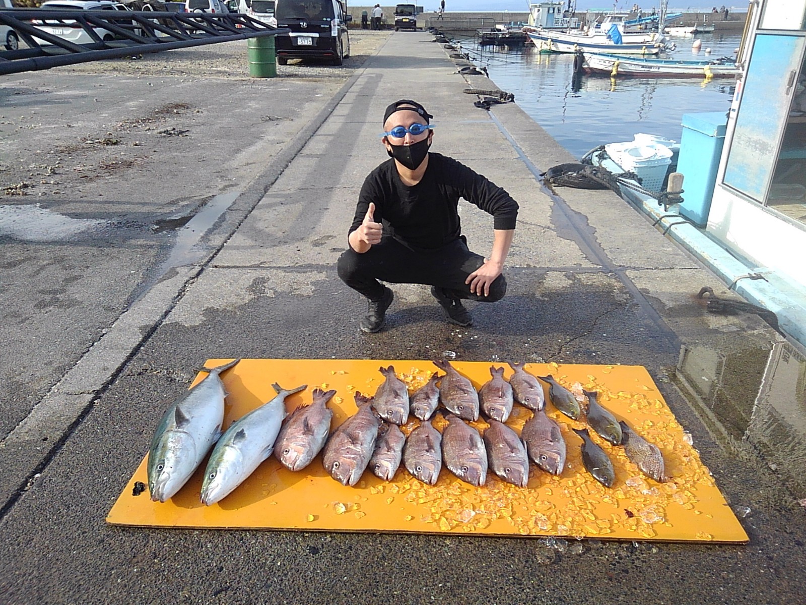 本日の釣果