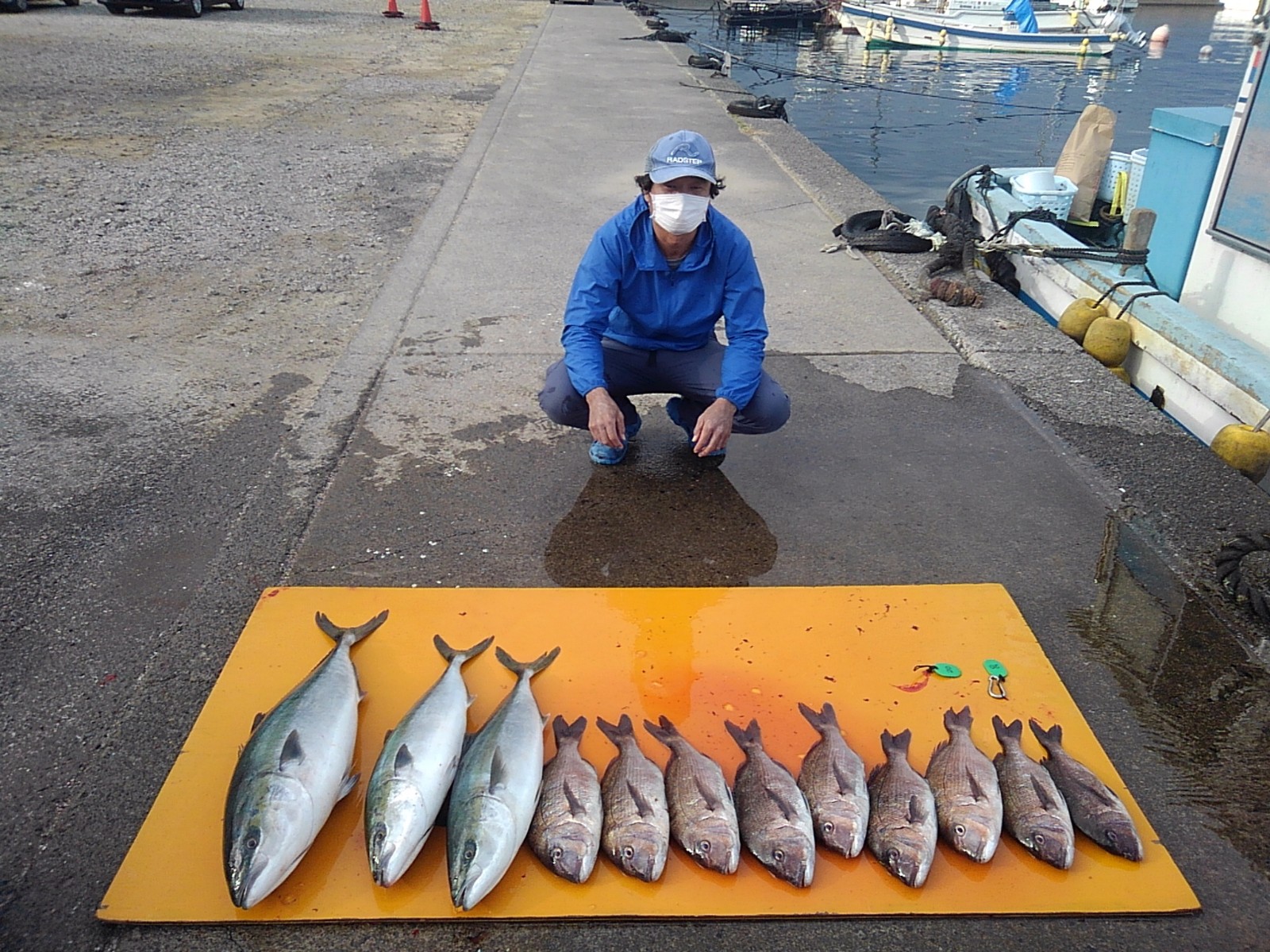 本日の釣果