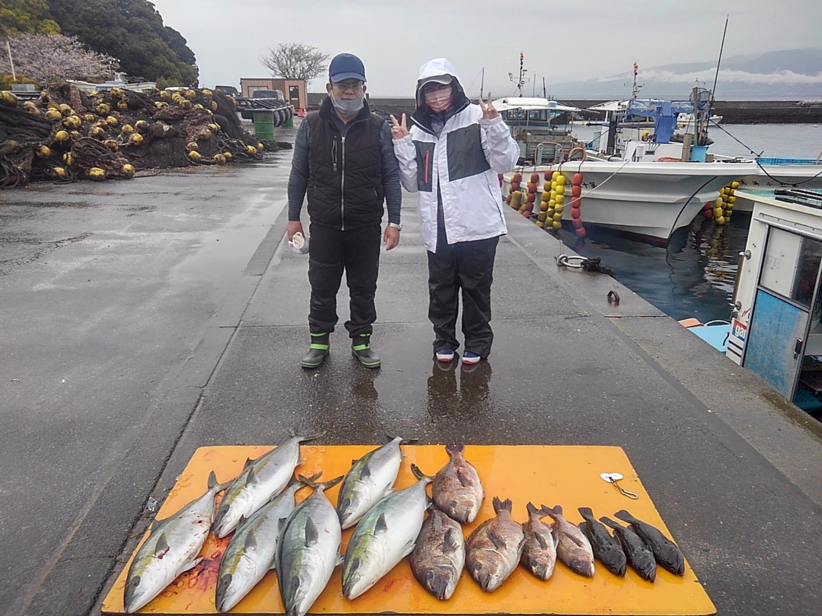 本日の釣果