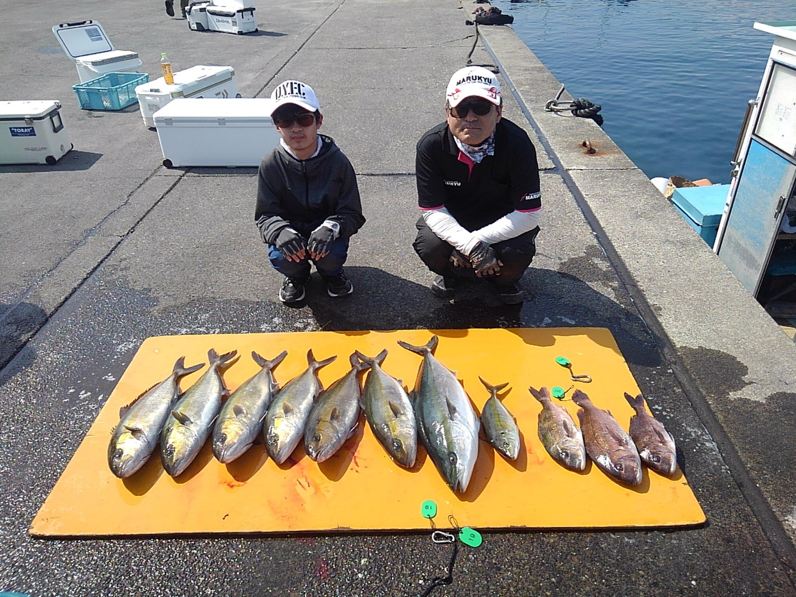 本日の釣果