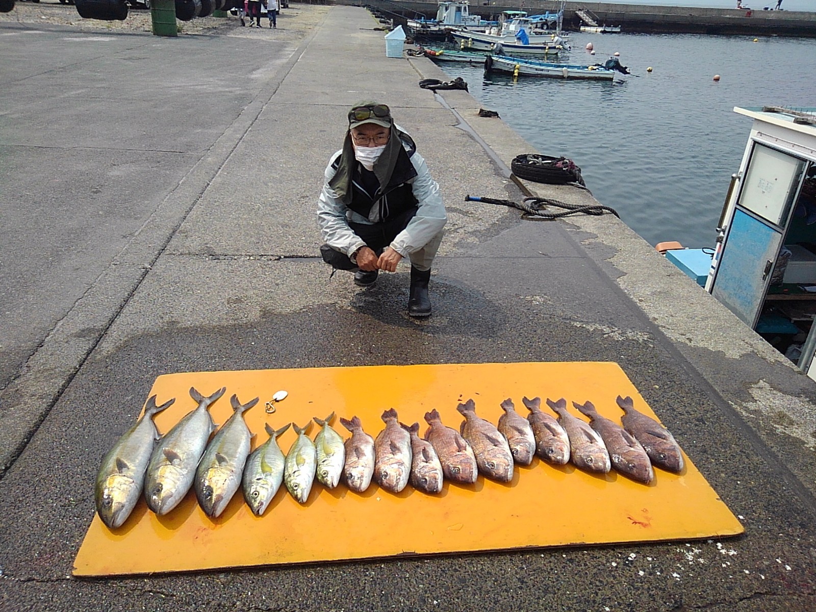 本日の釣果