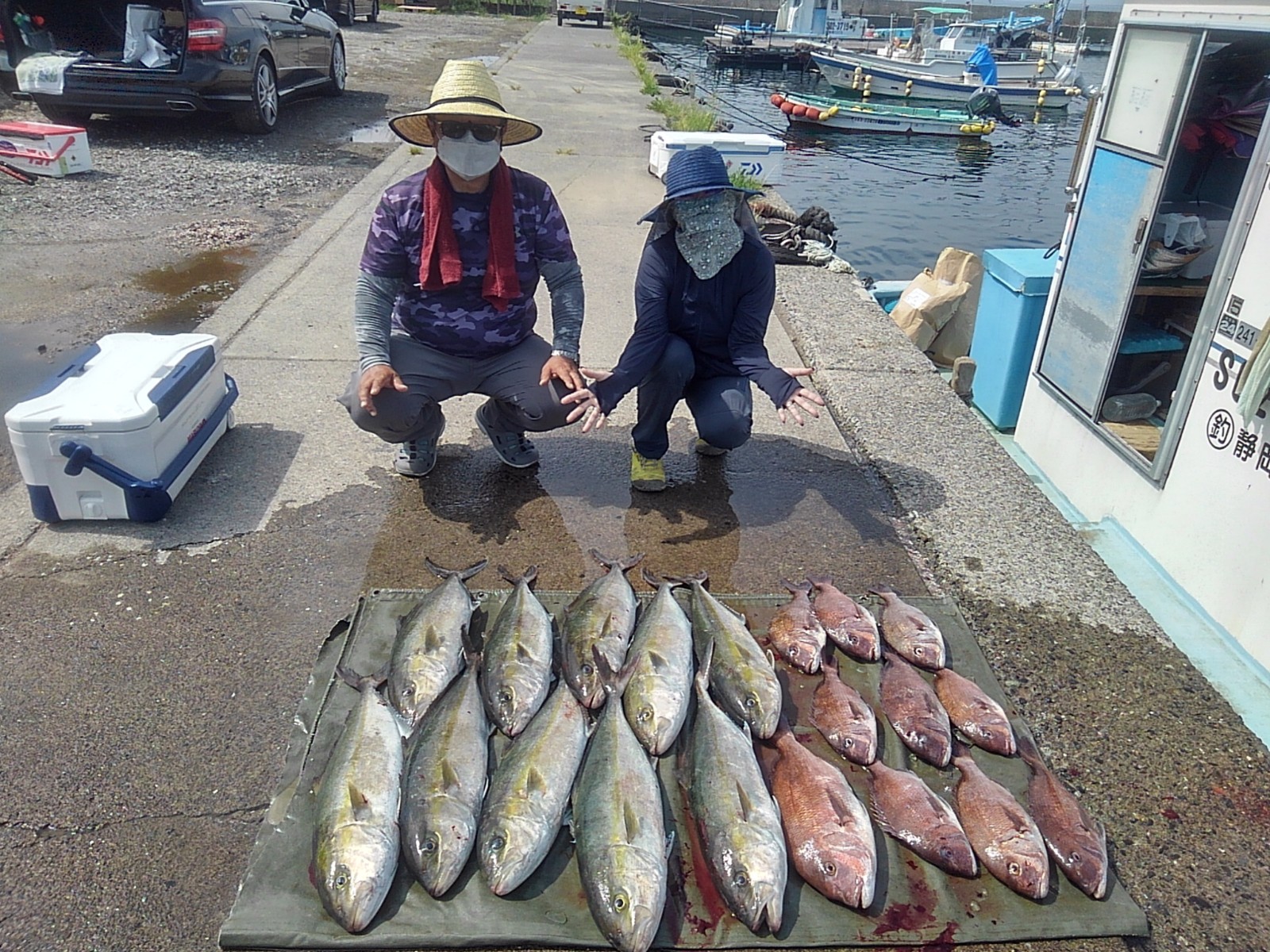 本日の釣果