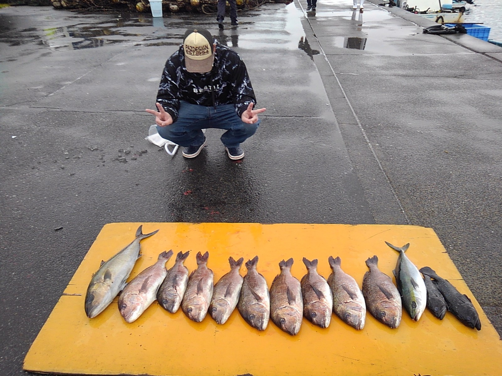 本日の釣果