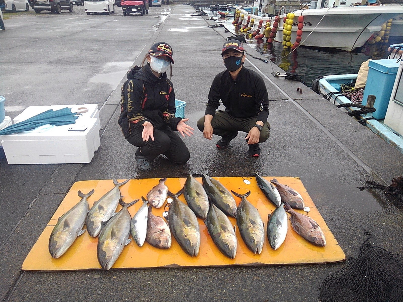 本日の釣果