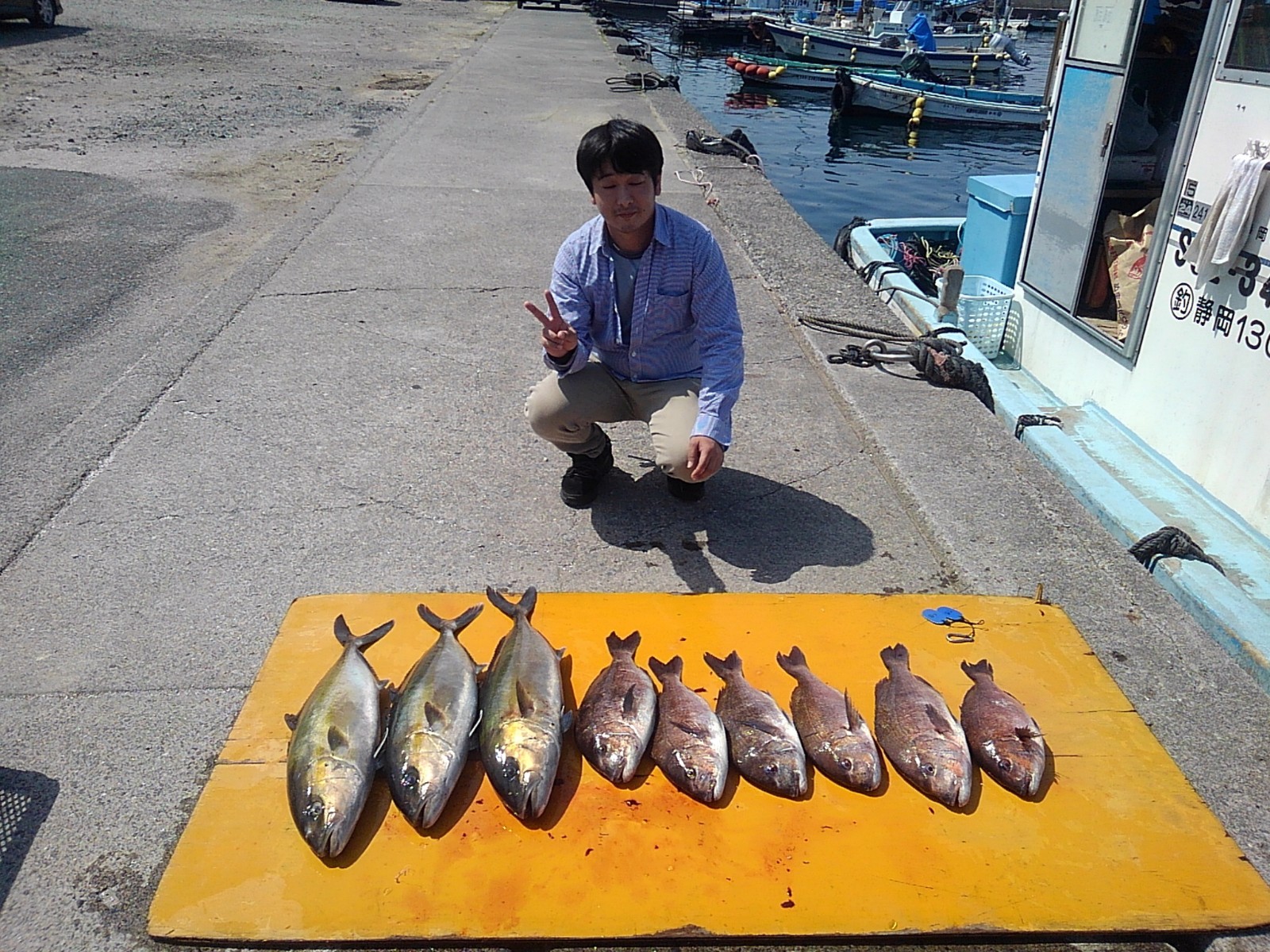 本日の釣果